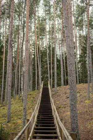 old wooden bridge over the river in forestの写真素材