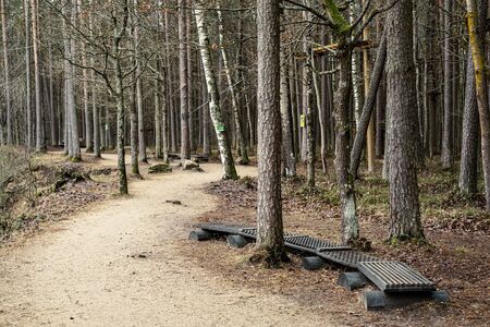 empty dirty gravel dirt road in forest with wet surface in autumn colorsの写真素材