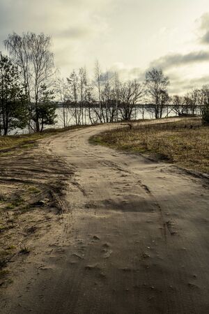 empty dirty gravel dirt road in forest with wet surface in autumn colorsの写真素材