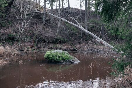 picturesque river in forest in autumn. wilderness, no people and old dry tree trunks fallen in river. isolated from society in latviaの写真素材