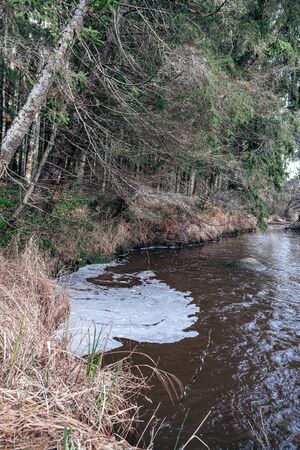 picturesque river in forest in autumn. wilderness, no people and old dry tree trunks fallen in river. isolated from society in latviaの写真素材