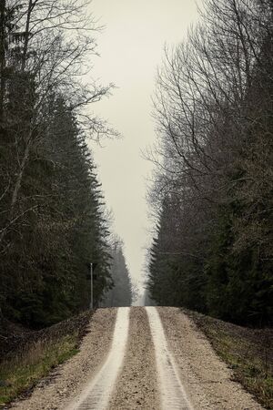 empty dirty gravel dirt road in forest with wet surface in autumn colorsの写真素材