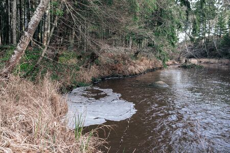 picturesque river in forest in autumn. wilderness, no people and old dry tree trunks fallen in river. isolated from society in latviaの写真素材