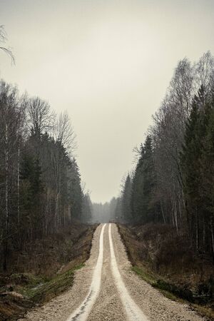 empty dirty gravel dirt road in forest with wet surface in autumn colorsの写真素材