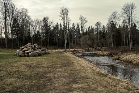 picturesque river in forest in autumn. wilderness, no people and old dry tree trunks fallen in river. isolated from society in latviaの写真素材