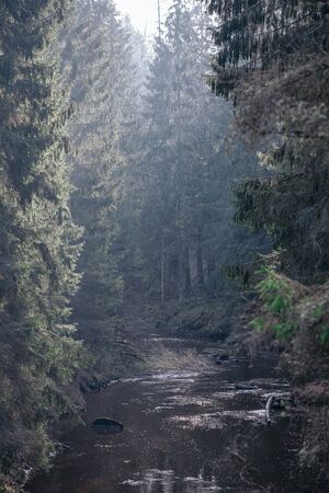 picturesque river in forest in autumn. wilderness, no people and old dry tree trunks fallen in river. isolated from society in latviaの写真素材
