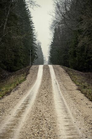 empty dirty gravel dirt road in forest with wet surface in autumn colorsの写真素材