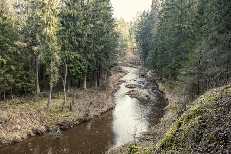 picturesque river in forest in autumn. wilderness, no people and old dry tree trunks fallen in...