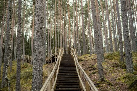 old wooden bridge over the river in forestの写真素材