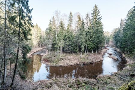 picturesque river in forest in autumn. wilderness, no people and old dry tree trunks fallen in river. isolated from society in latviaの写真素材