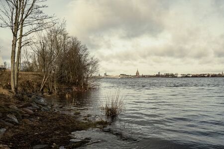 dirty lake with trees and dust in the water at sunset in autumnの写真素材