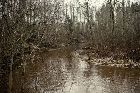 Scenic view of forest river Mergupe in Latvia in winter with no snow. slow shutter speedの写真素材