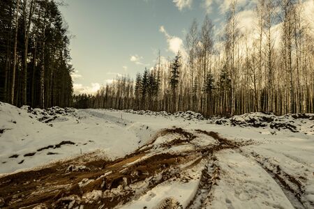 construction site of new road in forest in winter with snow and mudの写真素材