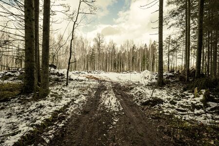 dirty mud road in winter with water on the road surface. sunny day with snowの写真素材