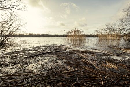 dirty lake with trees and dust in the water at sunset in autumnの写真素材