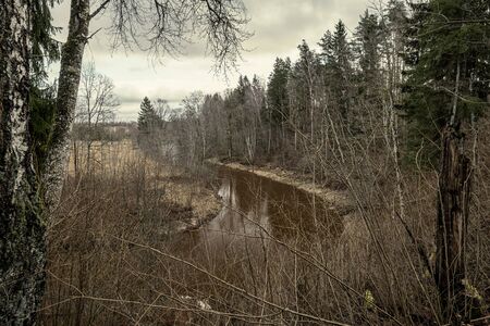 Scenic view of forest river Mergupe in Latvia in winter with no snow. slow shutter speedの写真素材