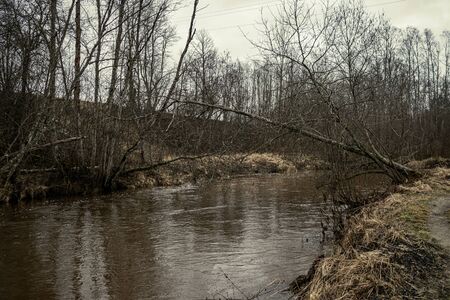 Scenic view of forest river Mergupe in Latvia in winter with no snow. slow shutter speedの写真素材