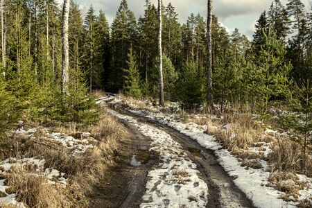 dirty mud road in winter with water on the road surface. sunny day with snowの写真素材