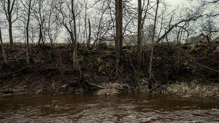 Scenic view of forest river Mergupe in Latvia in winter with no snow. slow shutter speedの写真素材