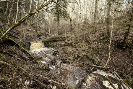dirty waterfall on a small river in forest, fast current with stones and wood logs in autumnの写真素材