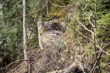 sandstone cliffs on the river shore. Gauja river in Latviaの写真素材
