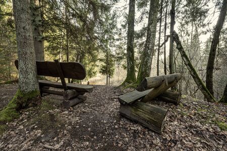 resting camping place in the woods with benches and trail in late autumn in Latviaの写真素材