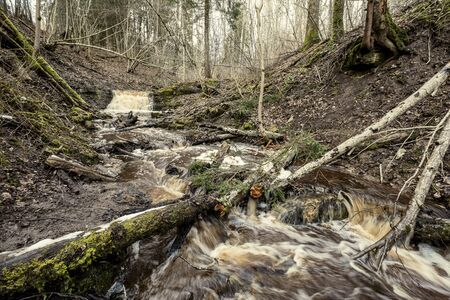 dirty waterfall on a small river in forest, fast current with stones and wood logs in autumnの写真素材