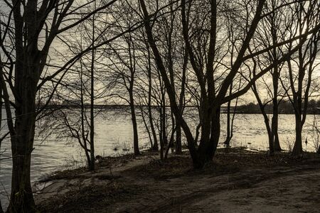 dirty lake with trees and dust in the water at sunset in autumnの写真素材