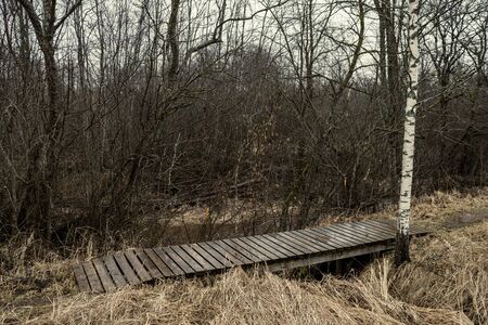 resting camping place in the woods with benches and trail in late autumn in Latviaの写真素材