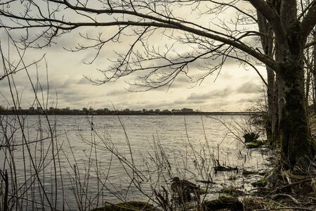 dirty lake with trees and dust in the water at sunset in autumnの写真素材