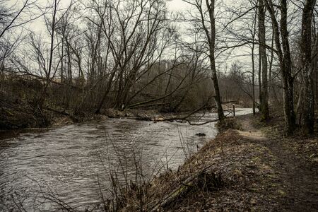 Scenic view of forest river Mergupe in Latvia in winter with no snow. slow shutter speedの写真素材