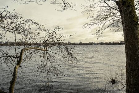 dirty lake with trees and dust in the water at sunset in autumnの写真素材