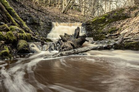 dirty waterfall on a small river in forest, fast current with stones and wood logs in autumn