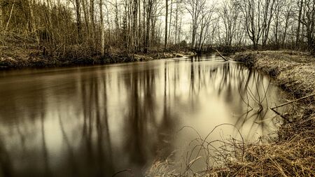 Scenic view of forest river Mergupe in Latvia in winter with no snow. slow shutter speedの写真素材