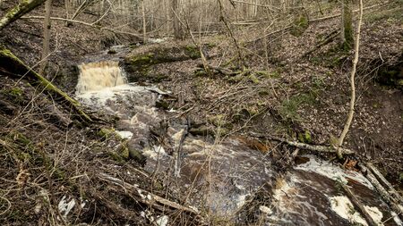 dirty waterfall on a small river in forest, fast current with stones and wood logs in autumnの写真素材