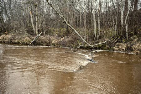 Scenic view of forest river Mergupe in Latvia in winter with no snow. slow shutter speedの写真素材