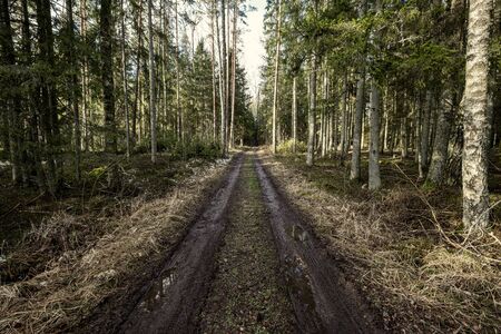 dirty mud road in winter with water on the road surface. sunny day with snowの写真素材