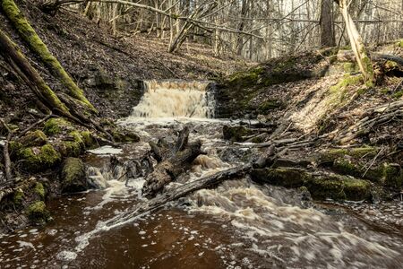 dirty waterfall on a small river in forest, fast current with stones and wood logs in autumnの写真素材