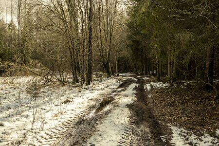 dirty mud road in winter with water on the road surface. sunny day with snowの写真素材