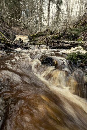 dirty waterfall on a small river in forest, fast current with stones and wood logs in autumnの写真素材