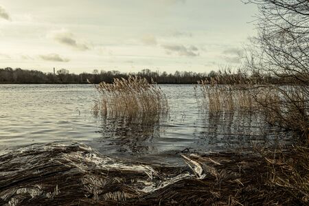 dirty lake with trees and dust in the water at sunset in autumnの写真素材