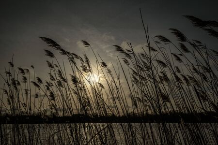 sunset over the lake with dramatic clouds and sun raysの写真素材