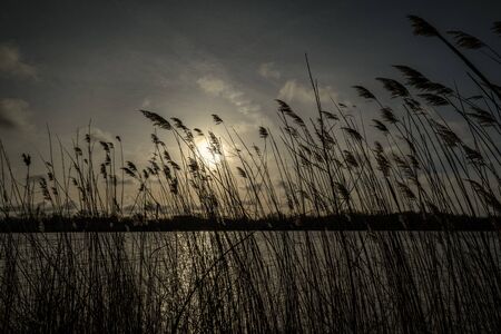 sunset over the lake with dramatic clouds and sun raysの写真素材