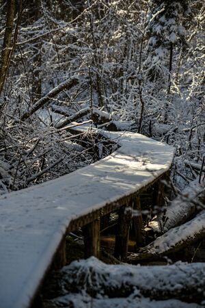 snowy pathway for walking in forest in winter, sunny day with stairs under snowの写真素材