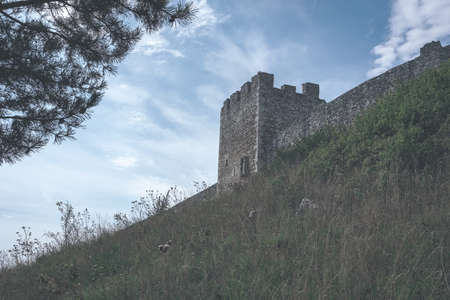 ruins of old abandoned castle on the cliff with bricks and stone. architecture details in Slovakia - vintage retro lookのeditorial素材
