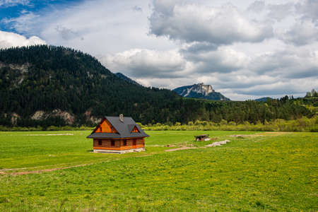 slovakia Tatra mountain tops in misty weather in summerのeditorial素材