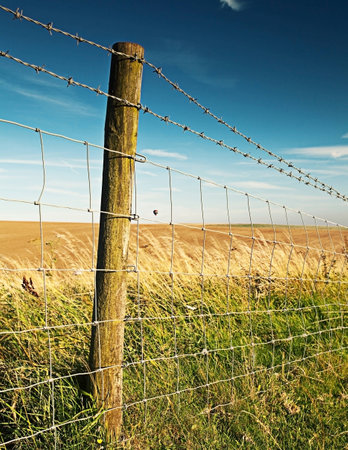 Morning flight over countrysideの写真素材