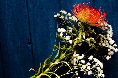 Vibrant bouquet of flowers on blue background. Image has strong color contrast.