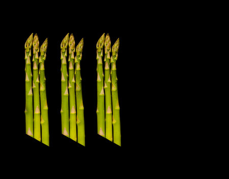 Poster Size Tri-Asparagus on Pure Black Background.の写真素材