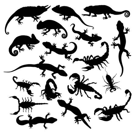 Gecko Scorpion and Lizard Silhouettes, art vector designのイラスト素材